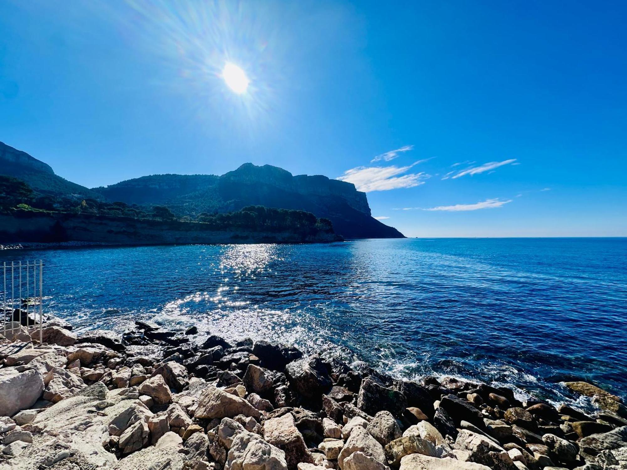 Mathaia Cassis *